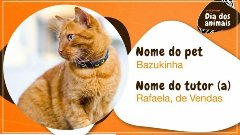 Template-Dia-dos-Animais-tv-corporativa